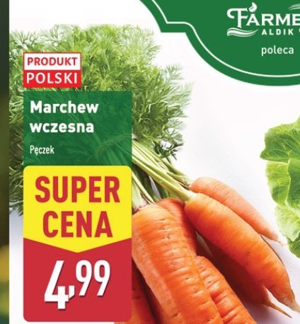 Marchew wczesna promocja w Aldi