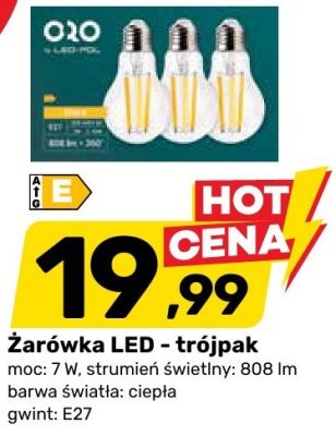 Żarówka LED O10 - trójpak promocja