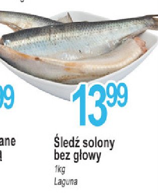 Śledź solony bez głowy Laguna promocja