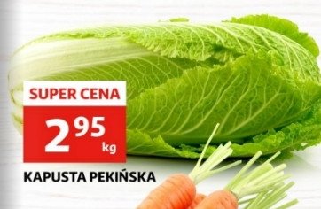 Kapusta pekińska promocja