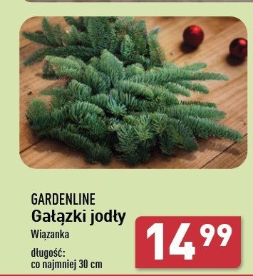 Gałązki jodły GARDEN LINE promocja w Aldi