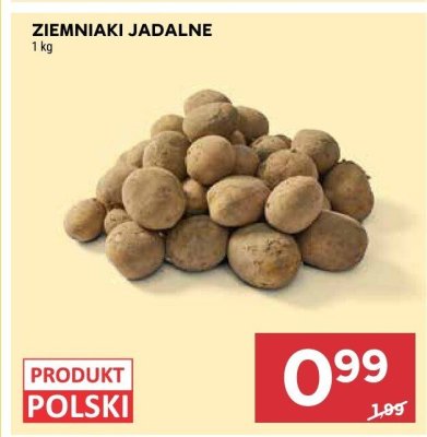 Ziemniaki jadalne promocja w Stokrotka
