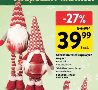 Skrzat na teleskopowych nogach promocja w Intermarche