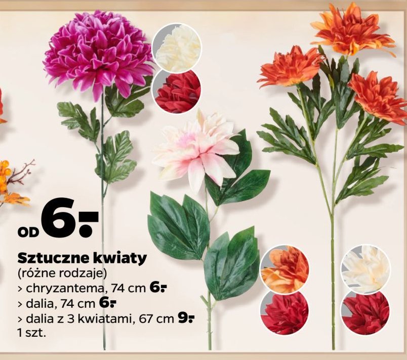 Dalia 74 cm promocja