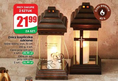 Znicz promocja w Dino