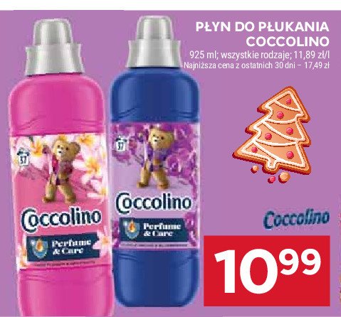 Płyn do płukania purple orchid & blueberries Coccolino perfume & care promocja w Stokrotka