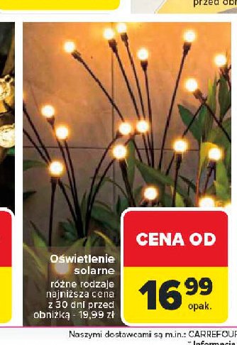 Oświetlenie solarne promocja w Carrefour Market