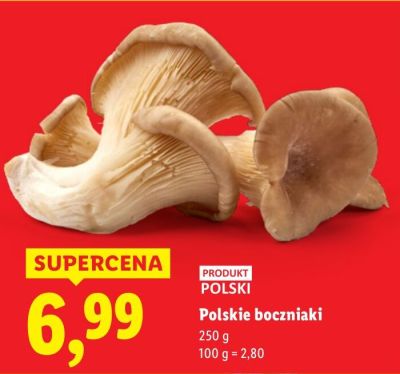 Boczniaki polskie promocja w Lidl
