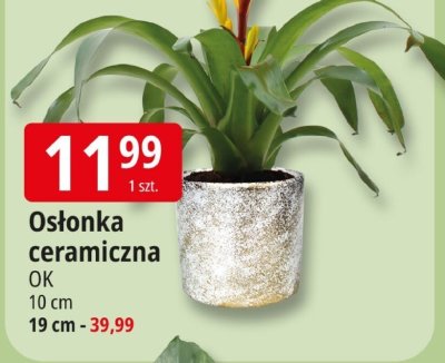 Osłonka ceramiczna 10 cm promocja w Leclerc