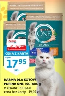 Karma dla kota sensitive Purina promocja