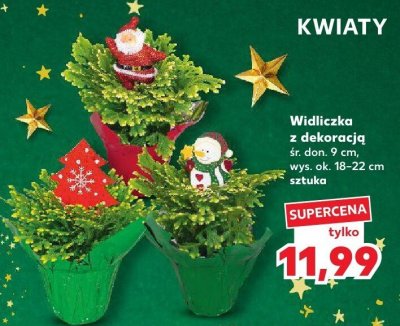 Widliczka z dekoracją śr. ok. 9 cm, wys. ok. 18-22 cm promocja w Kaufland