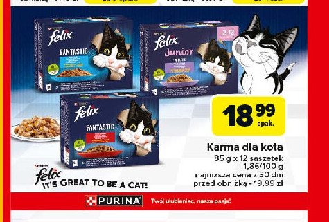 Karma dla kota wybór smaków w galaretce Purina felix junior promocja w Carrefour