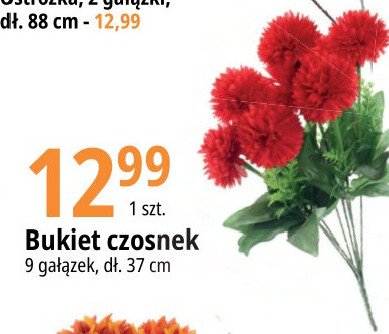 Bukiet czosnek 37 cm promocja