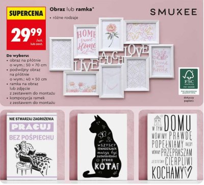 Obraz różne rodzaje promocja w Biedronka