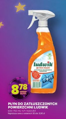 Płyn do zatłuszczonych powierzchni Ludwik Active Foam promocja w Stokrotka