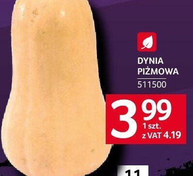 Dynia piżmowa polska promocja w Selgros