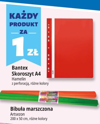 Skoroszyt A4 Bantex Hamelin z perforacją różne kolory promocja w Leclerc