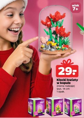 Klocki kwiaty w kopule różne rodzaje promocja w Netto