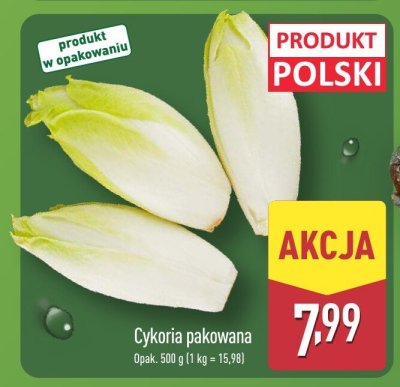 Cykoria pakowana 500 g promocja w Aldi