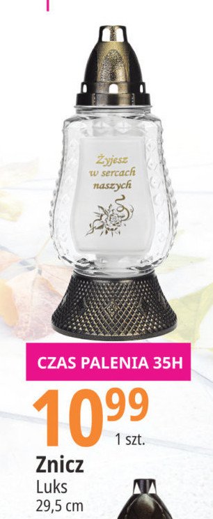 Znicz 35 h Luks promocja