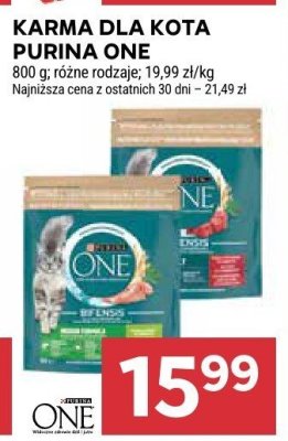 Karma dla kota Purina One promocja w Stokrotka