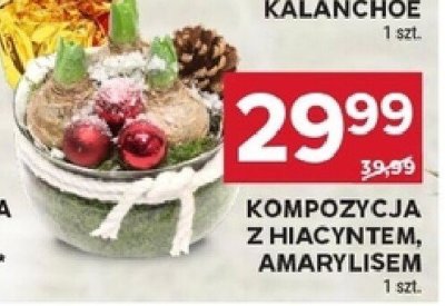 Kompozycja z hiacyntem, amarylisem promocja w Stokrotka