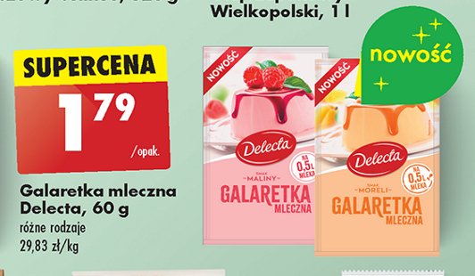 Galaretka mleczna morelowa Delecta promocja