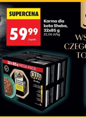 Karma dla kota  promocja w Biedronka
