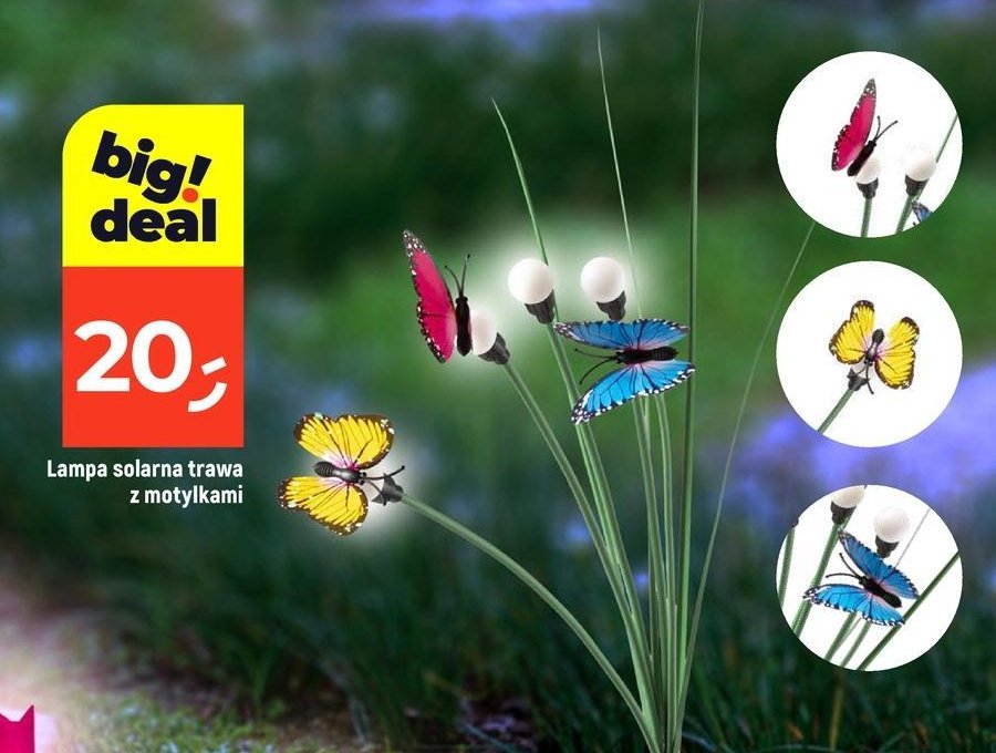 Lampa solarna motyl promocja w Dealz