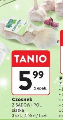 Czosnek Z SADÓW I PÓL siatka promocja w Intermarche