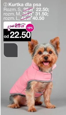 Kurtka dla psa promocja w Woolworth