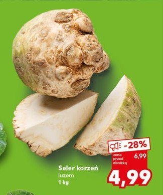 Seler korzeń promocja