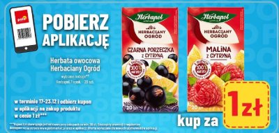 Herbata owocowa Herbaciany Ogród Czarna Porzeczka z cytryną promocja w POLOmarket