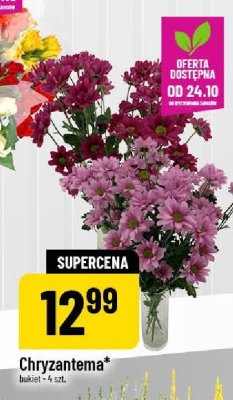 Chryzantema bukiet promocja w POLOmarket