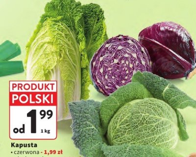 Kapusta czerwona luz promocja w Intermarche