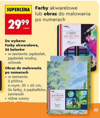 Farby akwarelowe lub obraz do malowania po numerach LOOZL Art promocja w Biedronka