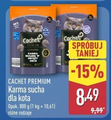 CACHET PREMIUM Karma sucha dla kota, różne rodzaje promocja w Aldi