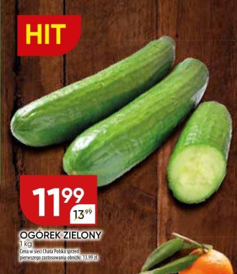 Ogórek zielony promocja w Chata Polska