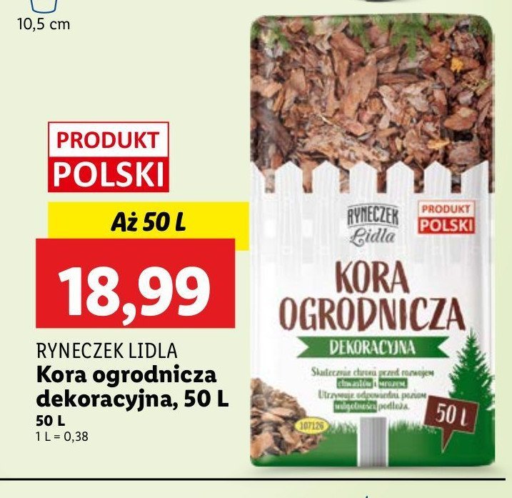 Kora ogrodnicza dekoracyjna Ryneczek lidla promocja