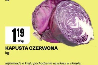 Kapusta czerwona promocja w Chorten