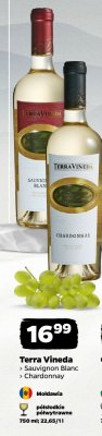 Wino Terra Vineda Chardonnay promocja w Netto