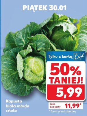 Kapusta promocja w Kaufland