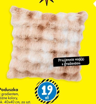 Poduszka z gradientem różne kolory ok. 40x40 cm promocja w Tedi