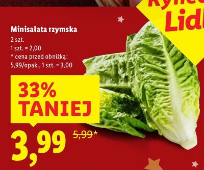 Minisałata rzymska  promocja w Lidl