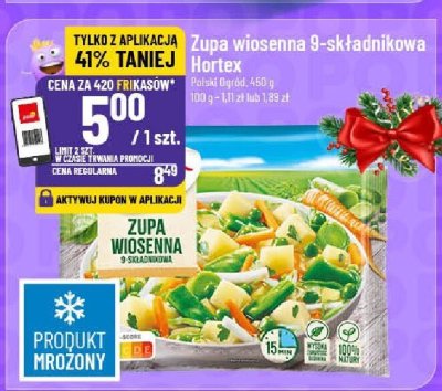 Zupa wiosenna 9-składnikowa Hortex promocja w POLOmarket