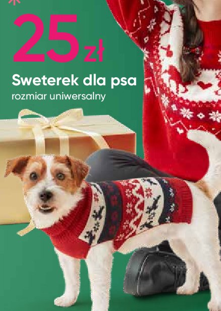 Sweterek dla psa promocja
