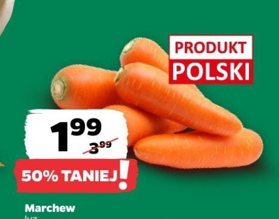 Marchew promocja w Netto