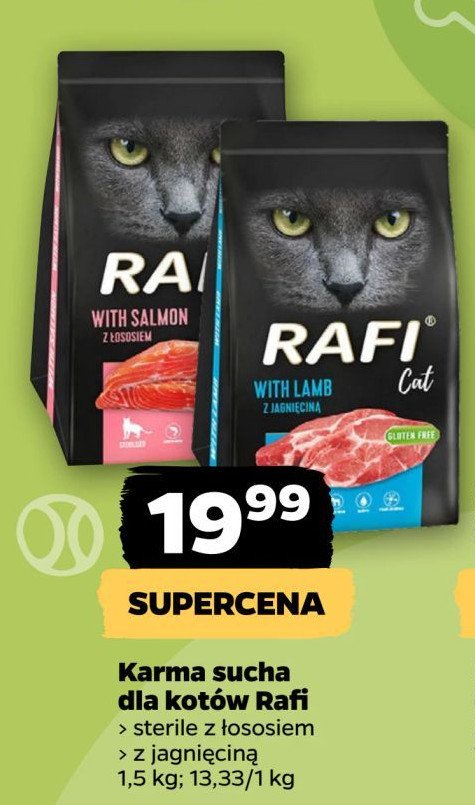 Karma dla kota z jagnięcina Rafi cat promocja