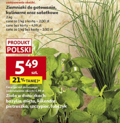 Zioła w doniczkach: bazylia, mięta, kolendra, pietruszka, szczypior, lubczyk promocja w Auchan