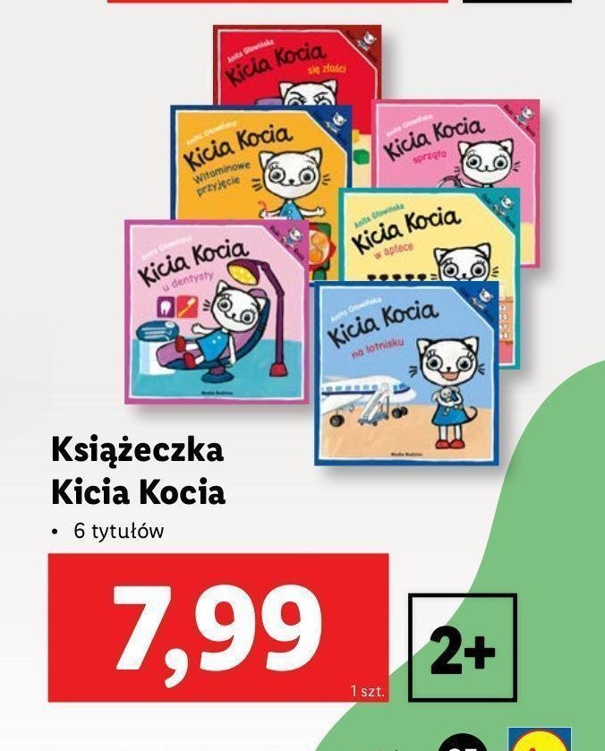 Anita głowińska - kicia kocia na lotnisku promocja